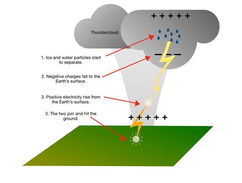 Thunderstorms Are Rainstorms That Include Thunder And Lightn Quizlet