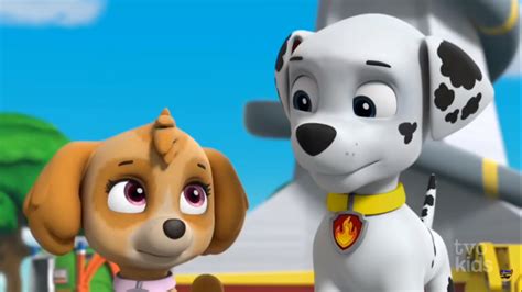 Marshall And Skyegallery Paw Patrol Relation Ship Wiki Fandom