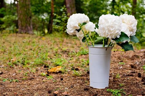 Il design a goccia accattivante evidenzia ogni mazzo di fiori. Fiori Bianchi Vaso - 10 fiori perenni da tenere sul balcone (per sempre ... : Fioraio bianchi ...