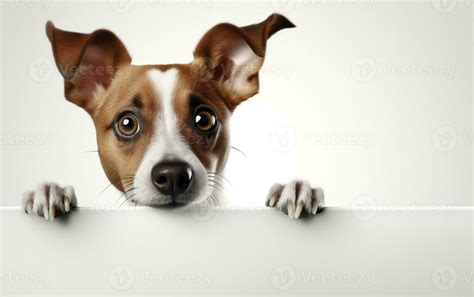 Astonished Dog Peeking With Big Eyes From Behind Generative Ai