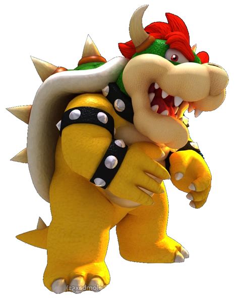 Image Bowser Koopa Left Render Png All The Koopas Wiki Fandom Powered By Wikia