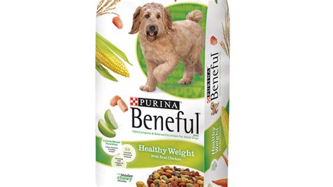 Why Is Purina Beneful Killing Dogs