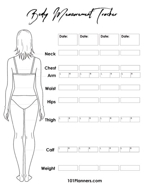 Free Body Measurement Chart Printable Or Online