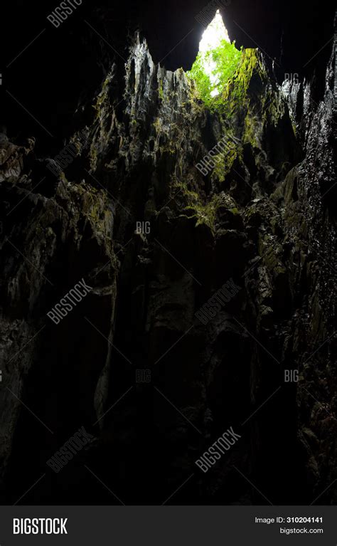 Cave Opening Lush Image And Photo Free Trial Bigstock