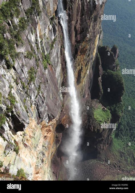 Angel Falls Waterfall In Venezuela Is The Worlds Highest Waterfall