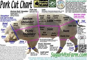 Potbelly Pig Weight Chart Farm House
