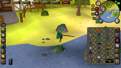 Do Your Quest Or Skilling In Old School Runescape By Ericatechs Fiverr