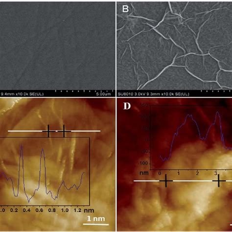 Sem Images Of Bare Gce A And Ergo Modified Gce B Afm Images Of