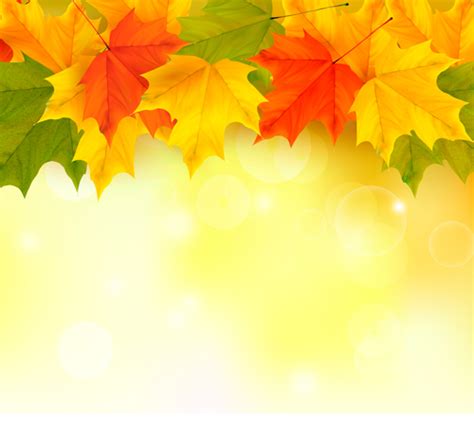 Shiny Autumn Vector Background Art 03 Free Download