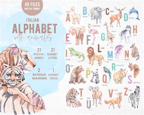 Italian Alphabet With Animalswatercolor Animal Etsy