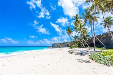 bottom bay barbados paradise beach on the caribbean island of barbados tropical coast with