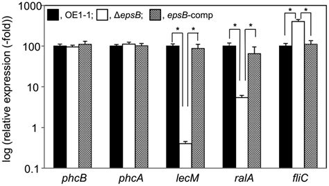 Expression Of The Quorum Sensing Phc Qs‐related Genes Phcb And Phca