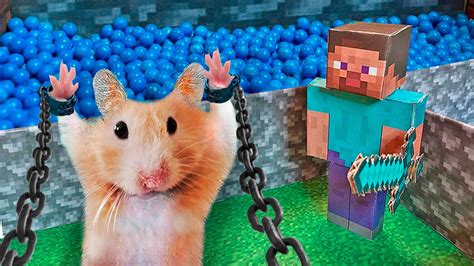 Minecraft Hamster Maze Escapes From The Minecraft Prison With Obstacle