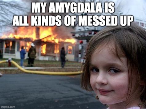 Ap Psych Amygdala Meme Imgflip