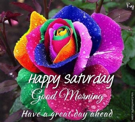 Happy Saturday Good Morning Have A Great Day Pictures Photos And