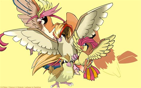 Pidgey Evolution Backgroundwallpaper By Jaceymon On Deviantart