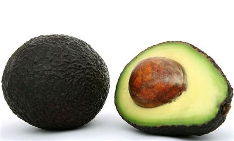 It is rich in potassium, good fat, and fiber. Can Dogs Eat Avocado? Is Avocado Good Or Bad For Dogs?