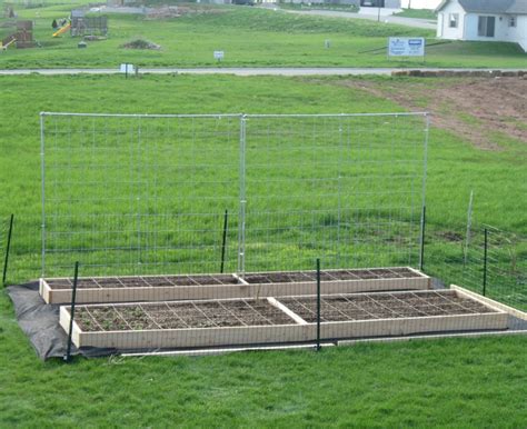 How To Build A Tomato Trellis With A Cattle Panel Erin Covert Hands On