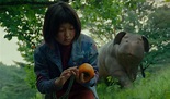 Review: ‘Okja’ is genre-defying - The Tacoma Ledger