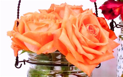 Check out our first date flowers selection for the very best in unique or custom, handmade pieces from our shops. Top 10 Flowers for a First Date — REAL FOOD REAL KITCHENS