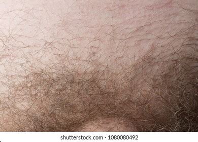 Body Hair Male Pubes Royalty Free Images Stock Photos Pictures Shutterstock