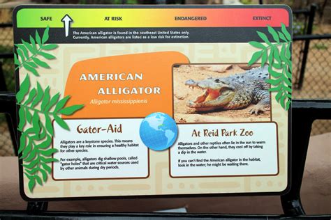Zoo Signage Education And Aesthetics Zoochat