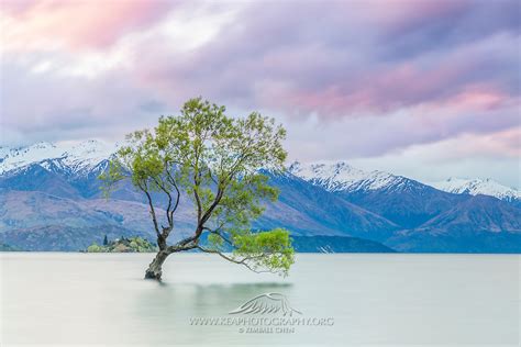 A Beautiful Sunset Over Lake Wanaka New Zealand Kea Photography