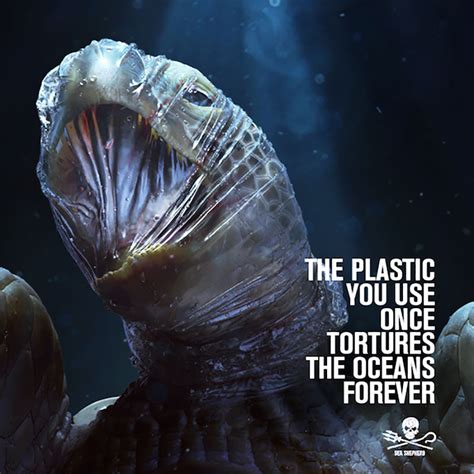 Animaux Marins Étouffés Par Le Plastique Dans Une Campagne Pub