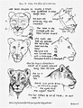 How To Draw A Female Lioness Face Worksheet | Animal drawings, Easy ...