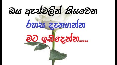 Best whatsapp status, funny love whatsapp status in hindi english. I Love You / Sinhala Whatsapp Status / Sinhala Love Status ...