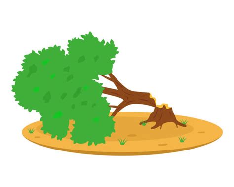 Broken Tree Illustrations Royalty Free Vector Graphics And Clip Art Istock