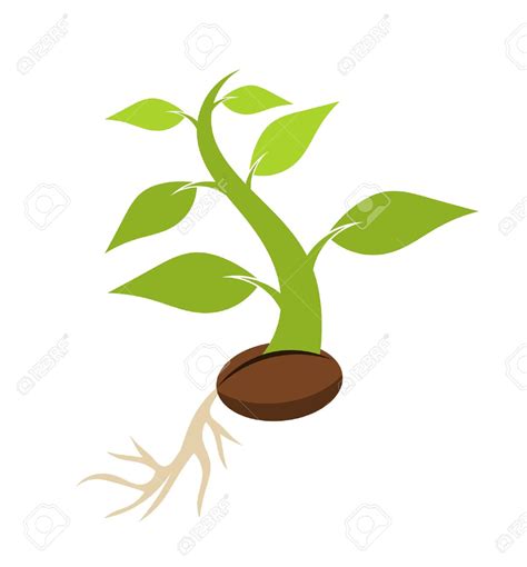 Seed Clip Art 10 Free Cliparts Download Images On Clipground 2024