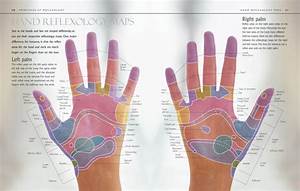 Reflexology Hand And Foot Maps Peacock Paisley