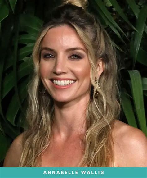 Annabelle Wallis Nose Job See The Before And After Pics