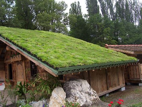 What You Didnt Know About Green Roofs Conscious Living Tv