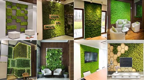 Top 100 Artificial Grass Design Ideas For Interior Wall 2023 Green
