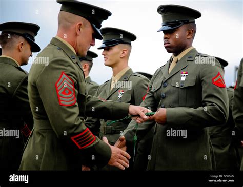 Us Marines With The 5th Marine Regiment Are Presented A French
