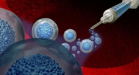 The Role Of Adipose Stem Cells In Regenerative Medicine