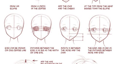 Anime Template For Drawing At Getdrawings Free Download