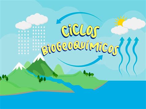 Ciclos Biogeoquímicos Qué Son Cuáles Son E Importancia Enciclopedia