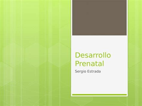 Pptx Proceso Del Desarrollo Prenatal Dokumen Tips