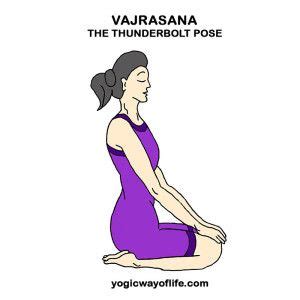 Yoga Yoga Body Hatha Vinyasa Yoga Asanas Names Uterine Fibroids Treatment Popular Yoga