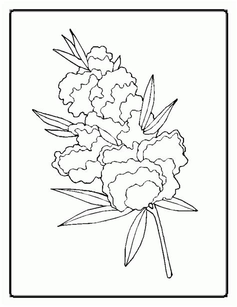 flower coloring pages  adults coloring home