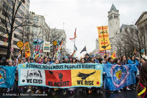 celebrating indigenous resistance and protectors around the nation greenpeace usa