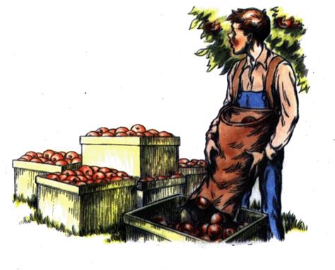 How Johnny Appleseed Would Operate In 2014 U Of Il Extension Apple