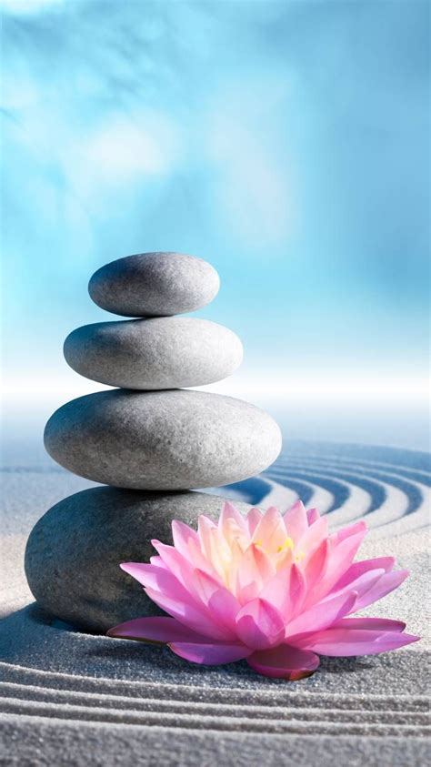 Zen Stones And Lotus Lotus Wallpaper Zen Wallpaper Zen Pictures