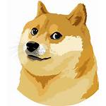 Doge Dog Meme Head Much Sticker Drawing