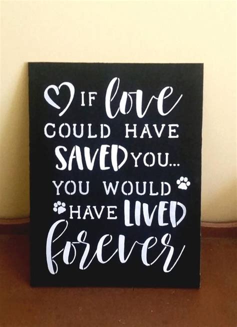 I just find it interesting how many places i am seeing this saying after my sisters passing 3 months ago. Dog or cat memorial sign if love could have saved you ...