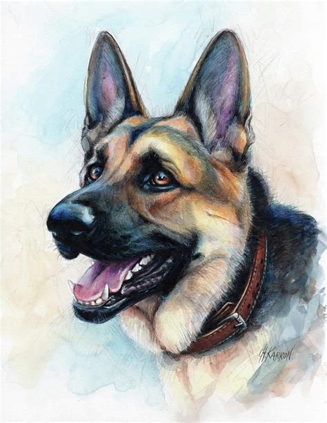 Animal Paintings Animal Drawings Dog Drawings German Shepherd
