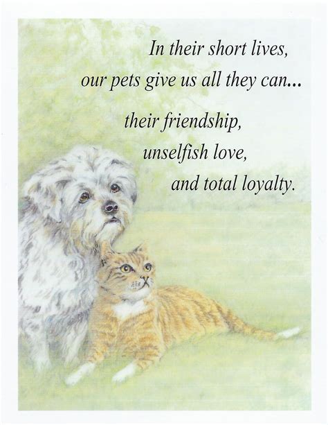 Veterinary Wisdom S10 Pet Sympathy Card